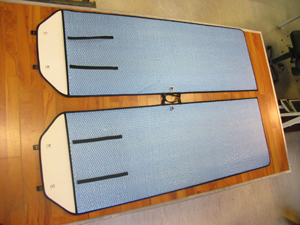 PAF Trainer 300 von Peter Adolfs