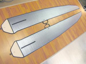 Discus von Vagenknecht